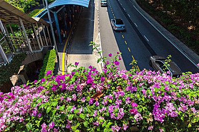 平台跳跃游戏《Ayasa》Steam页面开放 明年发售